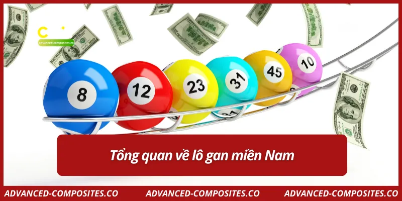 Tổng quan về lô gan miền Nam